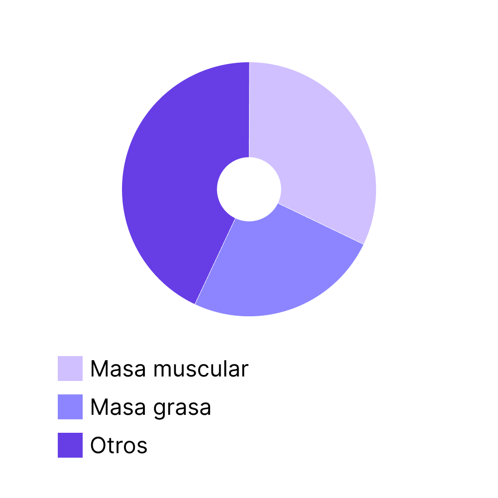 Indicador deportivo evaluación nutricional