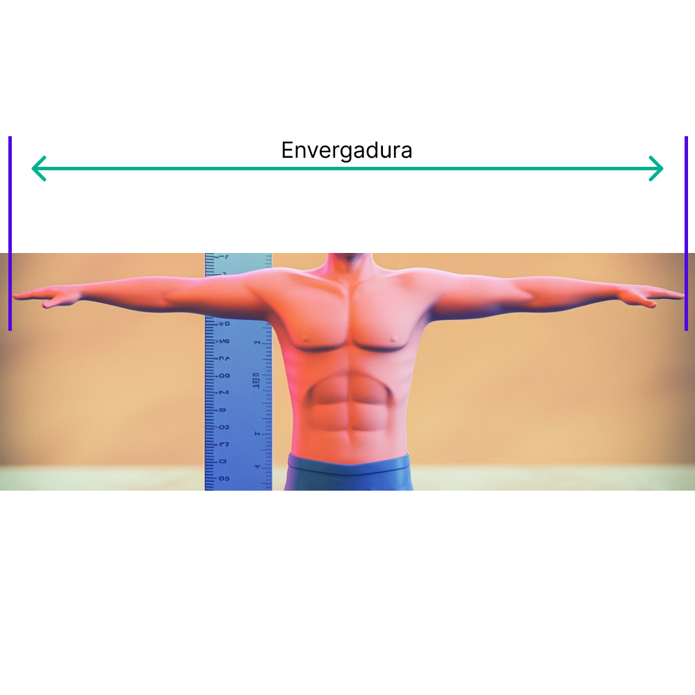 Indicador deportivo evaluación nutricional